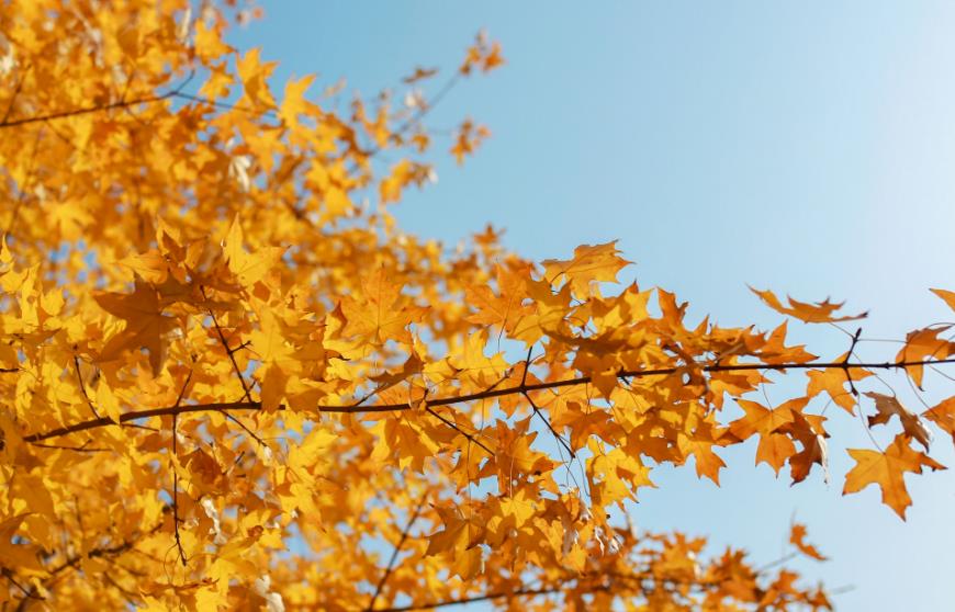 母婴日报最新资讯,母婴日报新消息