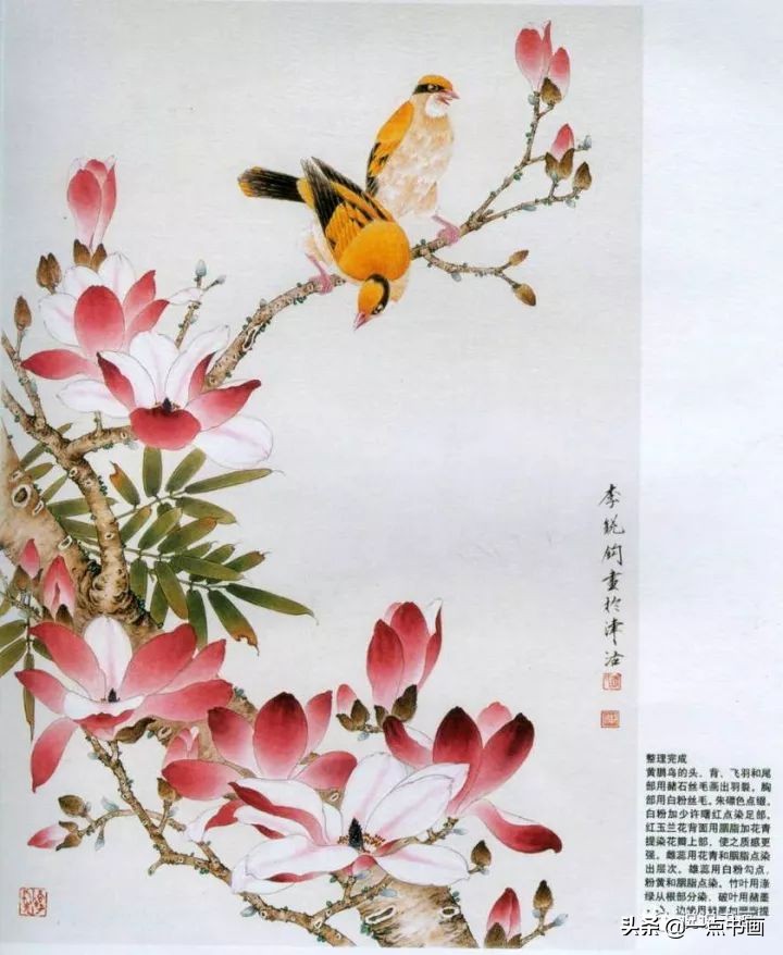 玉兰花的画法和枝干布局,玉兰花的素描画法步骤图
