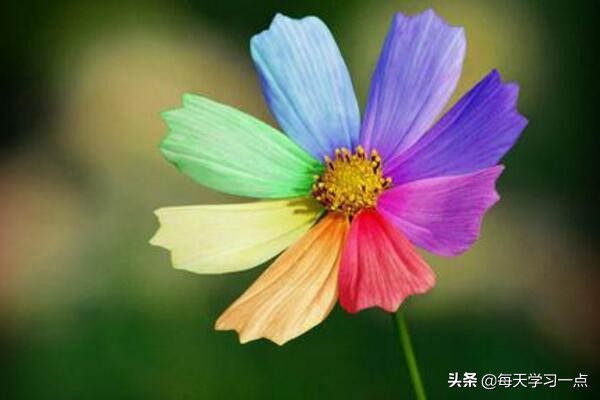 道家怎样改变不好的运气,运气不好怎么才能改变运气