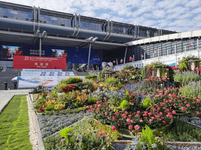 黑科技裸眼3d电视,最近很火的手机黑科技