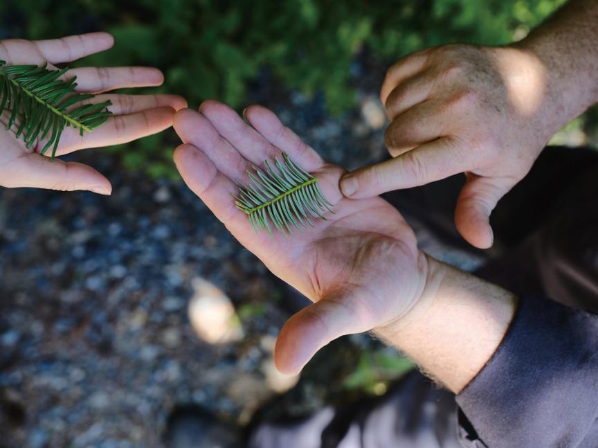 旅居生活攻略,旅居生活最适合的城市