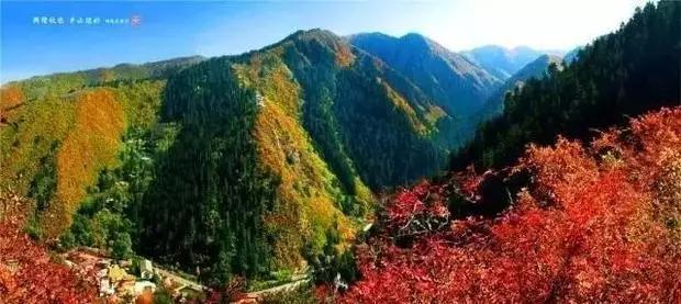 兰州市玻璃栈道,兰州玻璃栈道最长多少米