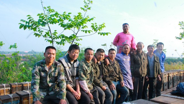 一只蜜蜂每天要多少蜜,一只蜜蜂一天可以采多少蜂蜜