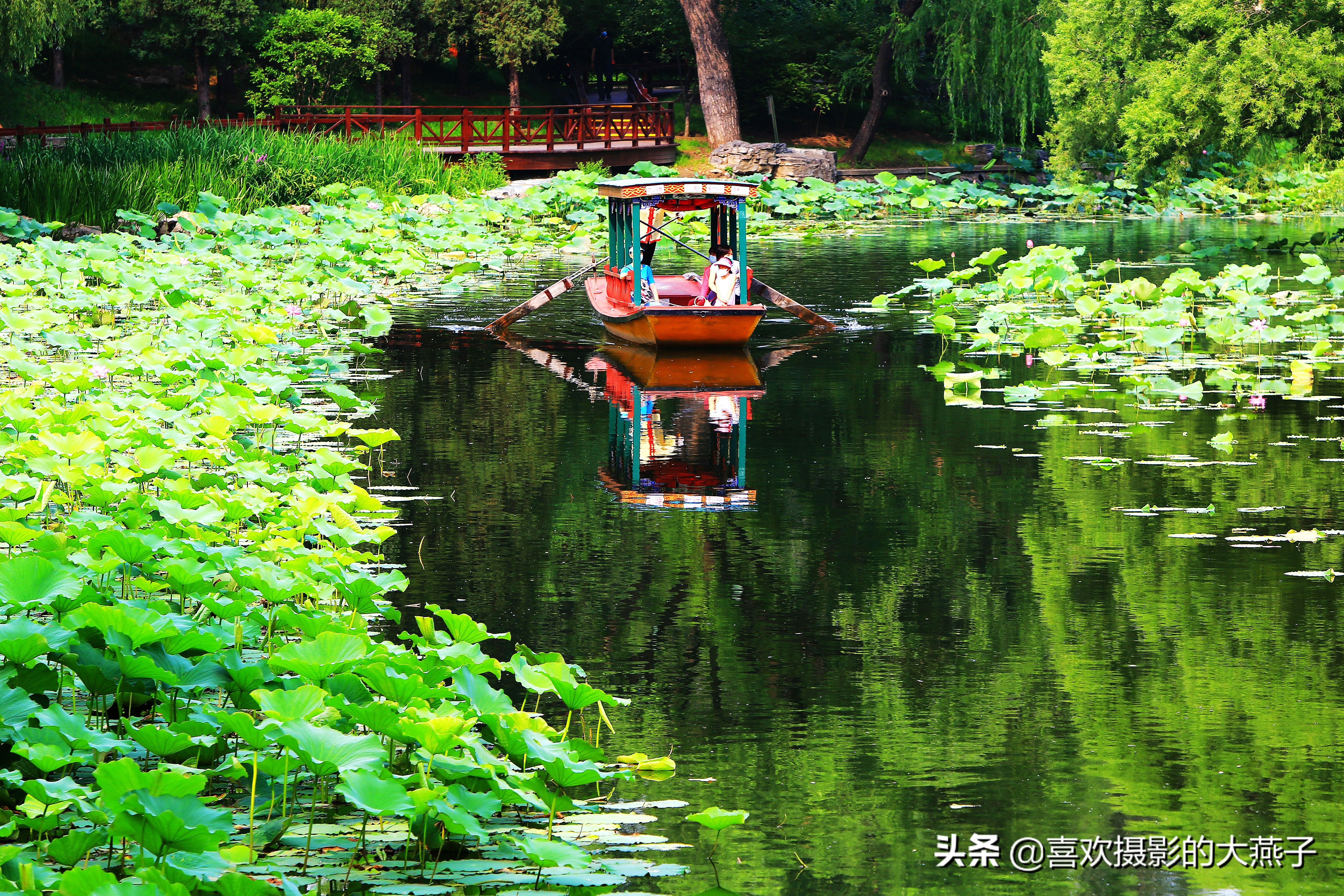 紫竹院京城景区,京城皇家御河紫竹院