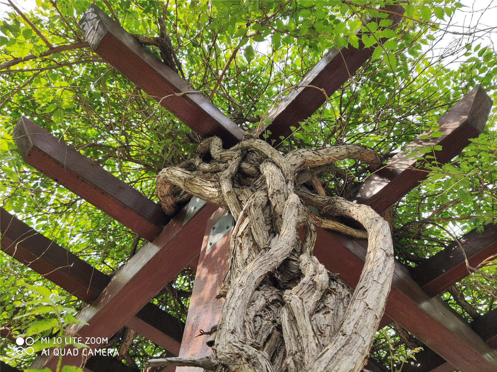 小米10青春版209元,小米10青春版报价2099元