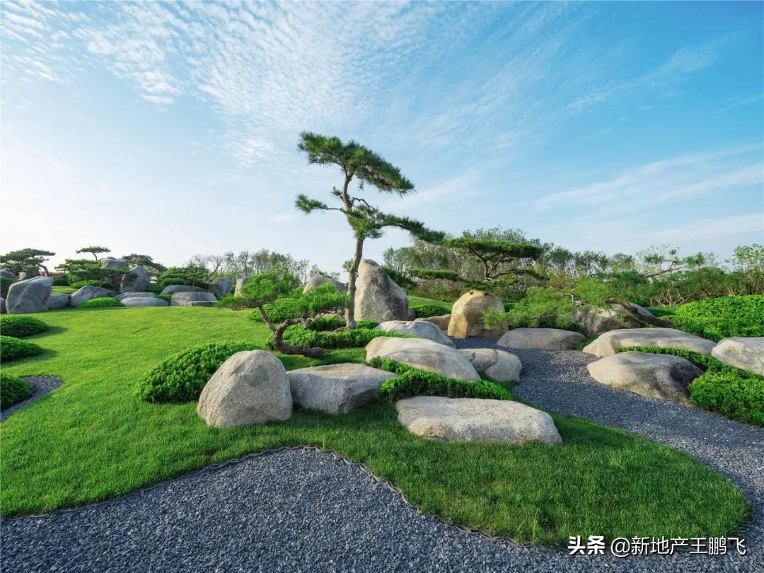 *瑰园玫**|曲江池畔的「叛逆少年」，匠心打磨的「凝固艺术」