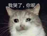 碧梨霸气回怼黑粉,碧梨怒怼黑粉