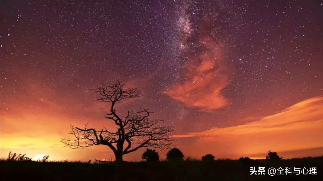 神奇的种子法则全集,神奇的种子的主要内容