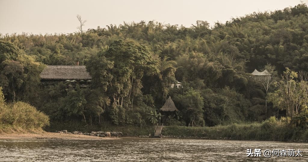 野奢帐篷酒店,轻奢帐篷酒店真实感受