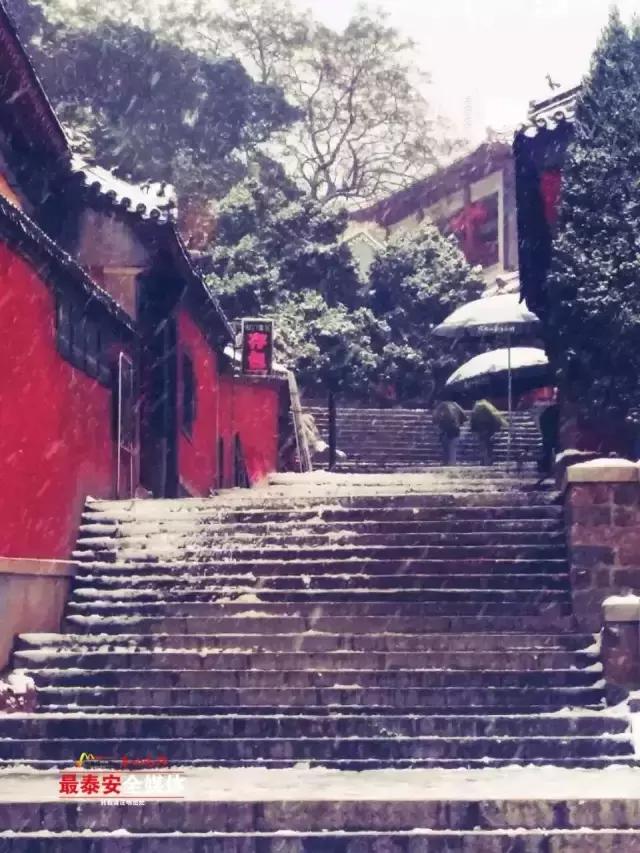 安泰到底好不好,安泰有什么特点