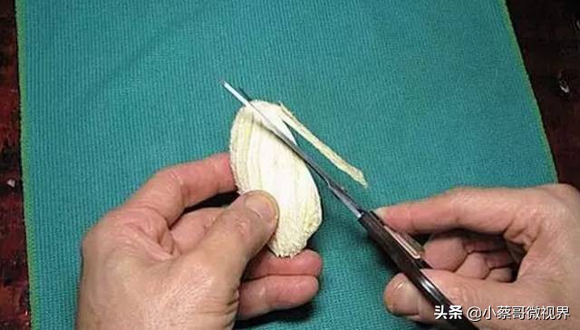 吃完的水果种子不要丢,吃完水果果核别扔