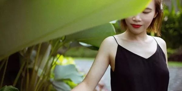 花店行业千亿级细分赛道,花艺行业的上下游产业有哪些