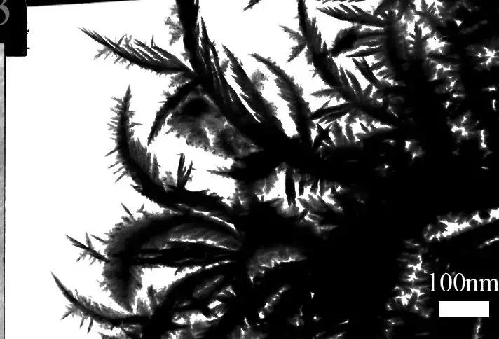 摄影大赛征稿|赋予色彩的世界