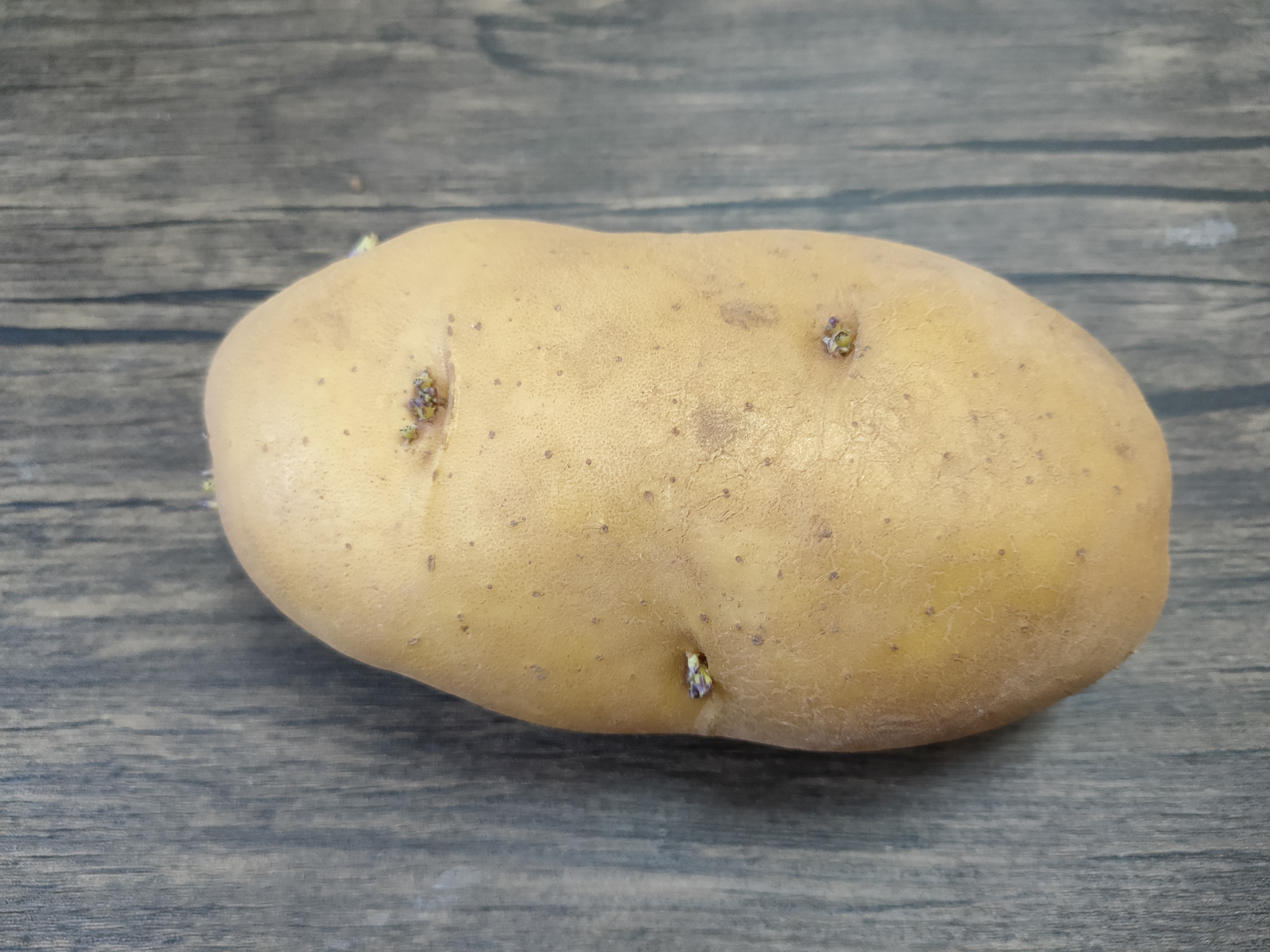 保存土豆怎样不发芽,保存土豆怎么保存不发芽