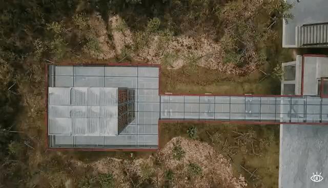 深圳哪个地方有玻璃桥,深圳玻璃桥免费开放吗