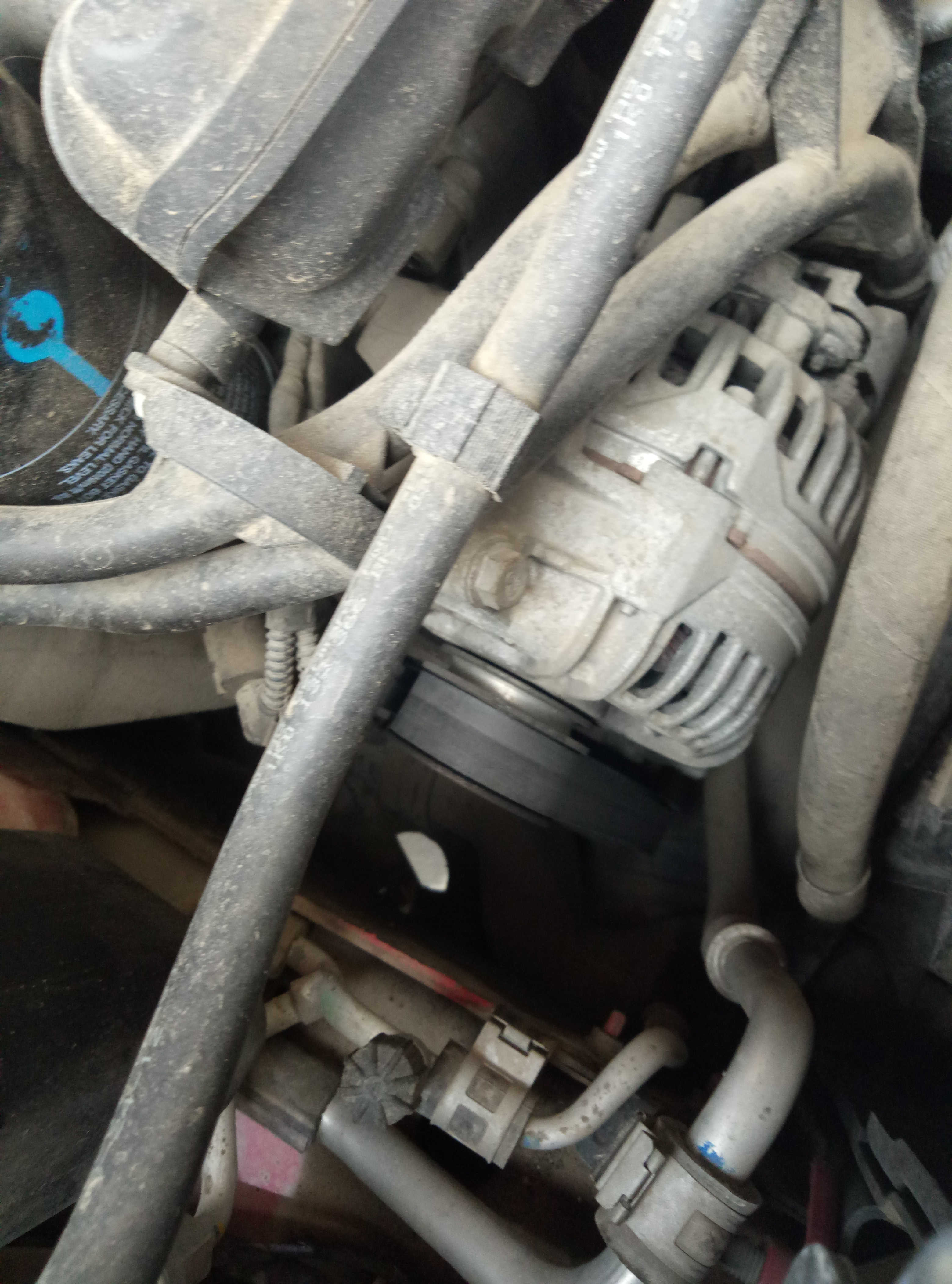 大众甲壳虫经典款,经典大众甲壳虫车型