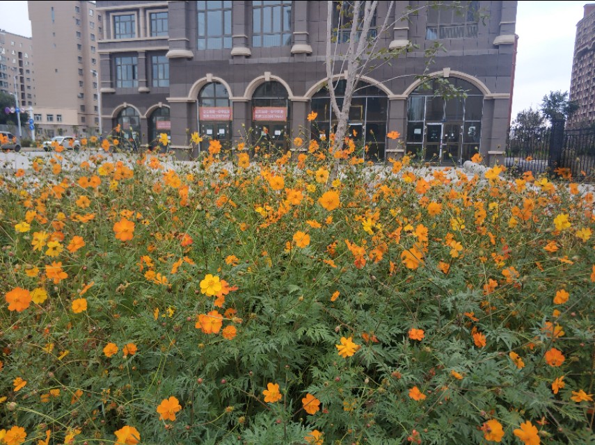 乌鲁木齐八大片区规划图,乌鲁木齐新增的几个区