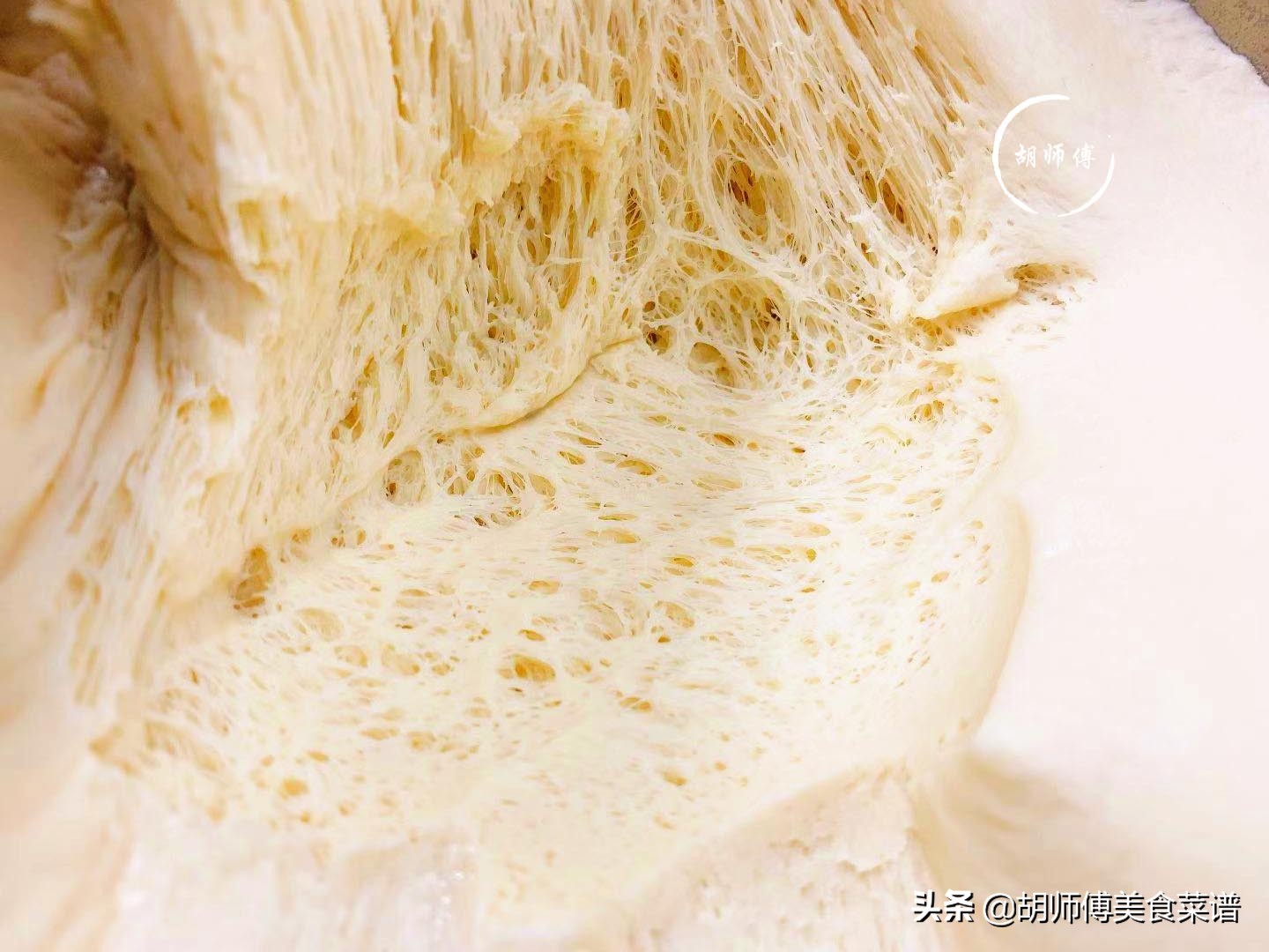 做包子一定要加酵母吗,做包子要不要加泡打粉