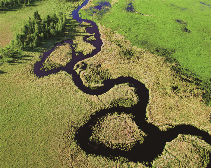 物微意不浅感动一沉吟——植物诗词隐含的生态思想及教育意义