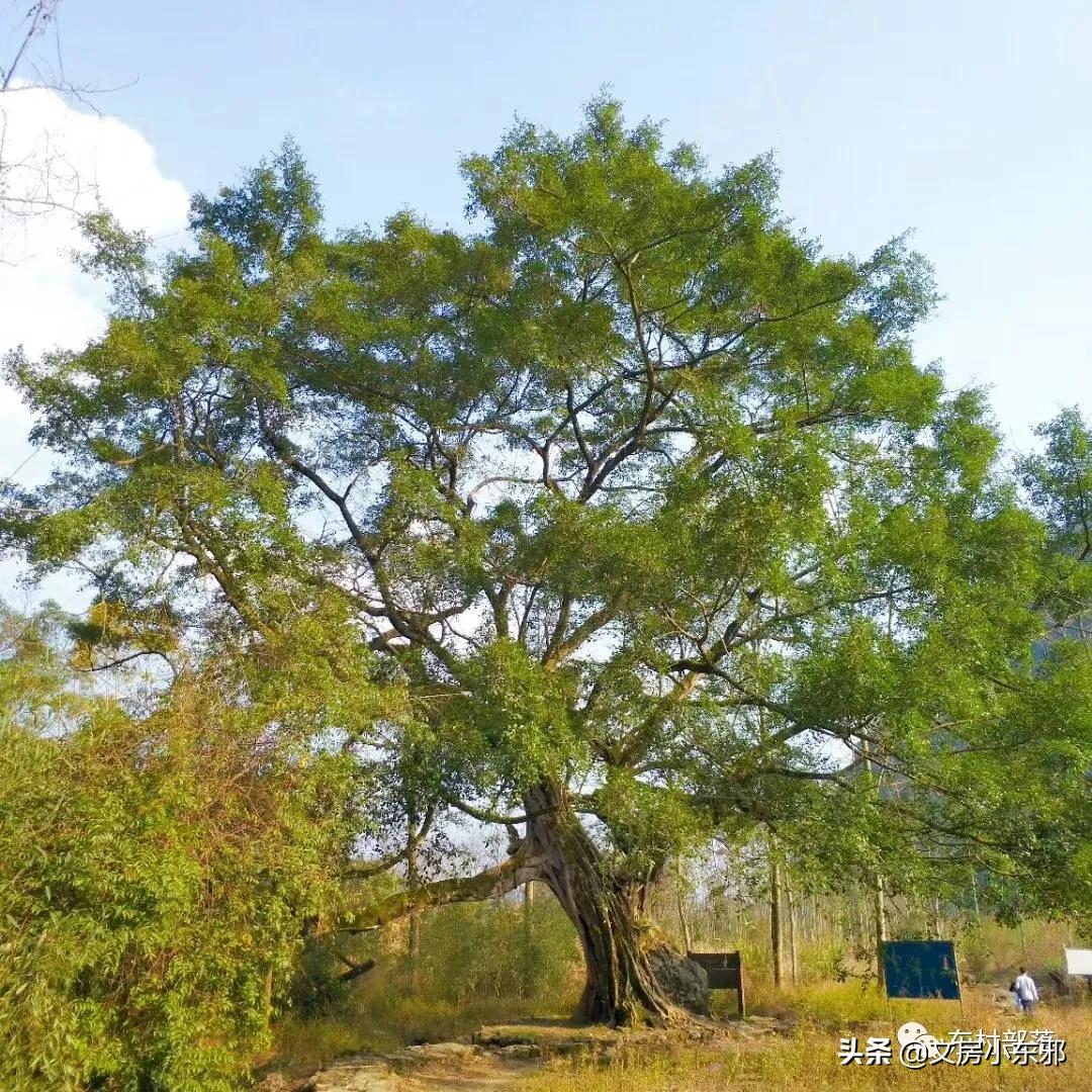 广西河池照片,广西河池图片大全