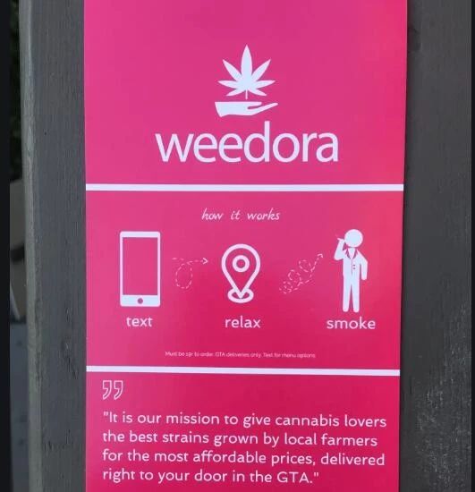 加拿大：*麻大**滞销，帮帮我们