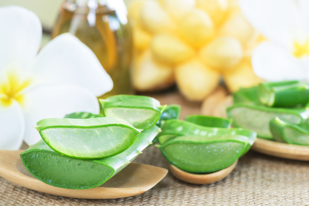 一般的芦荟胶有什么用,芦荟胶的五大功能你真的会用吗
