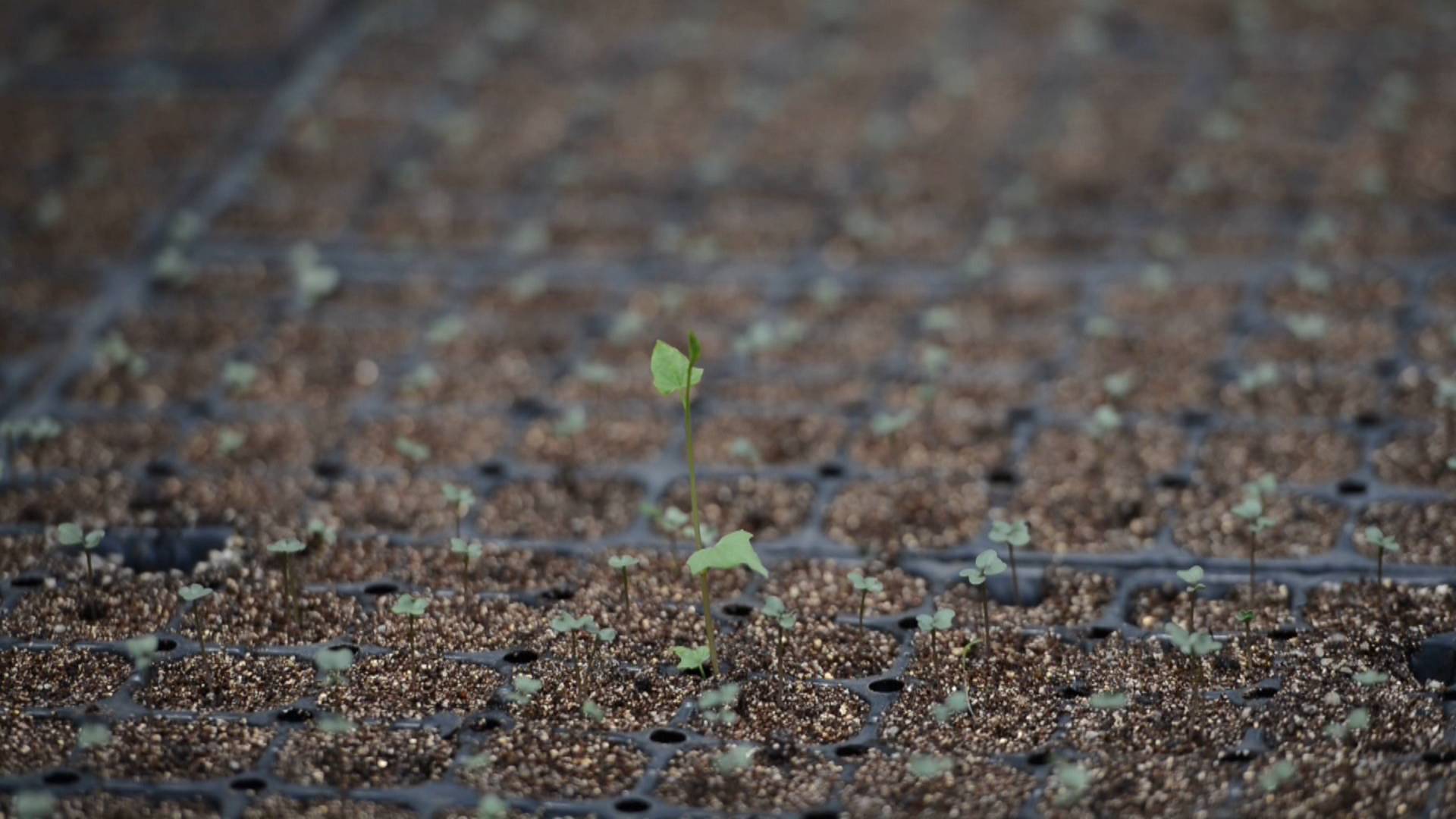 年薪20万it男,年薪20万农村it男