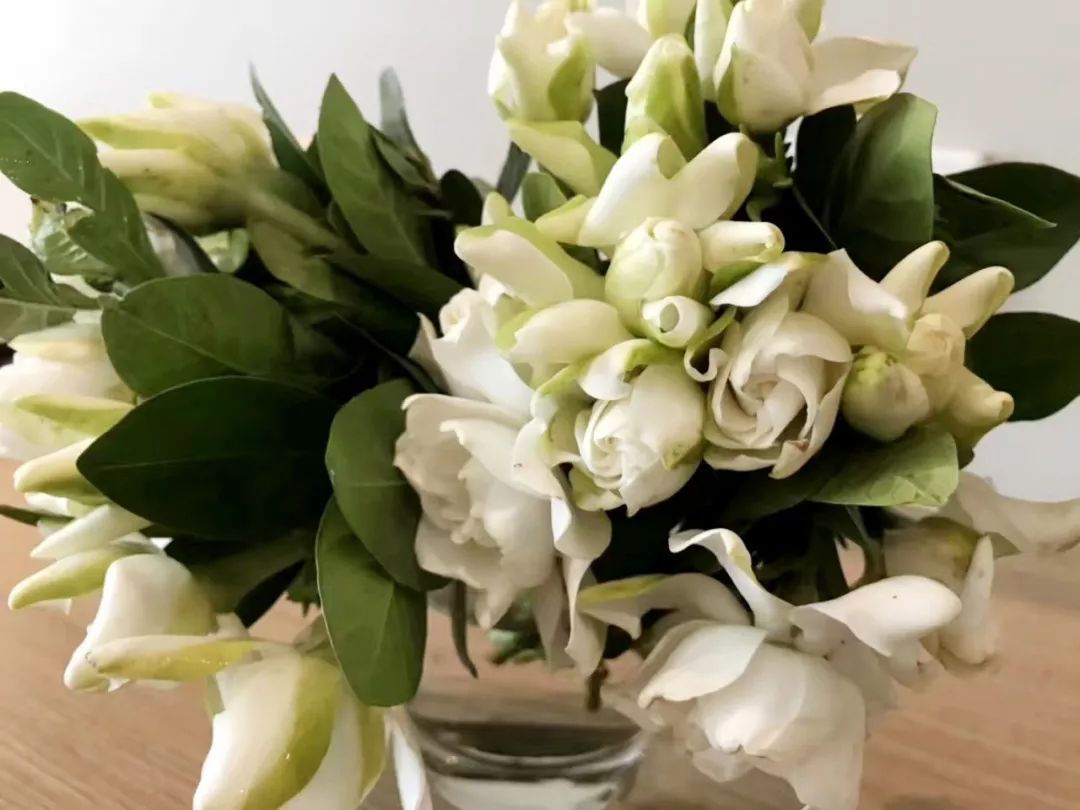 泰国清迈特产水果,泰国清迈的玫瑰