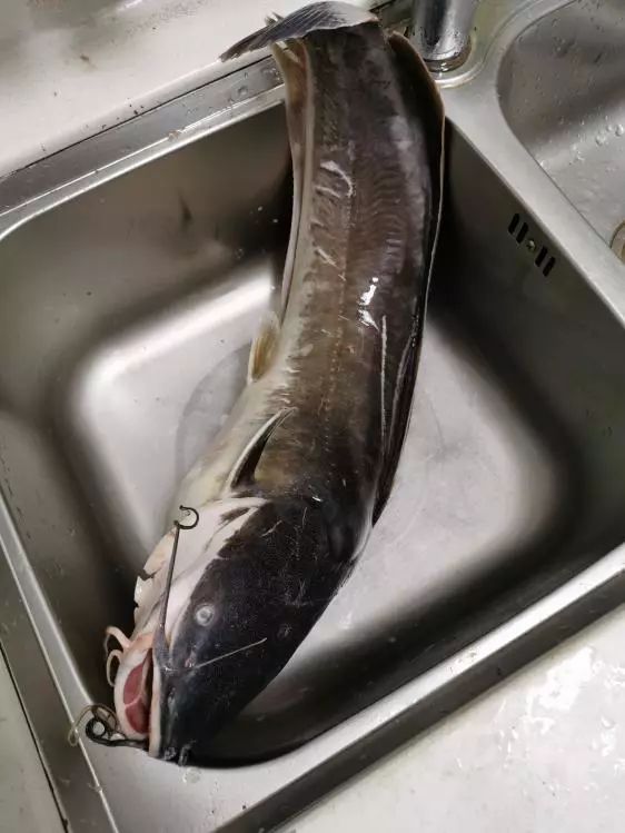 本汀天狐斩月刀裸棍版什么样,本汀裸棍好用吗