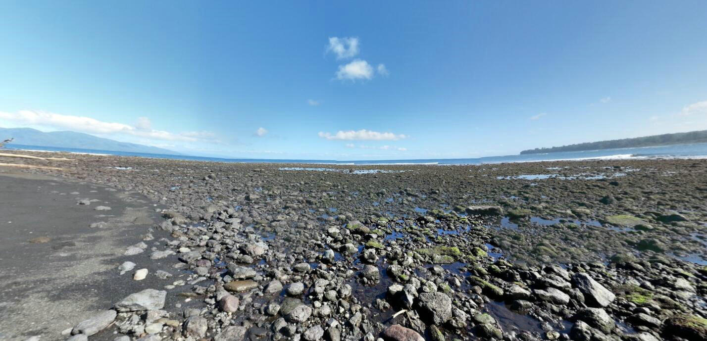 火山岛火山灰岛屿,一个全是巨型生物岛