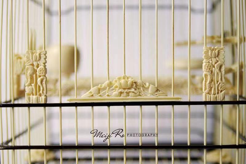 捉小鸟的鸟笼制作视频,铁鸟笼制作方法全过程视频