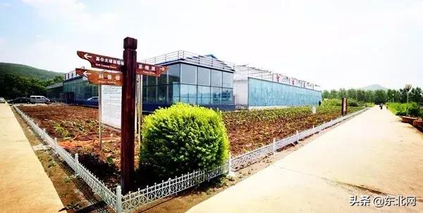 黑龙江铁道交通职业技术学院2021,黑龙江十所大学排名