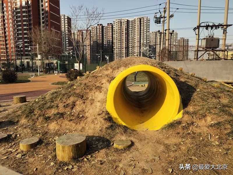 羡慕啊！住在双清路就是不一样