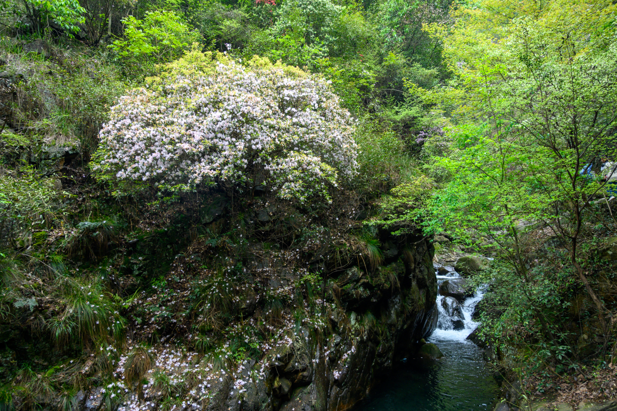 浙江这座宝藏小城，藏着一处山水秘境，史称江南第一名山