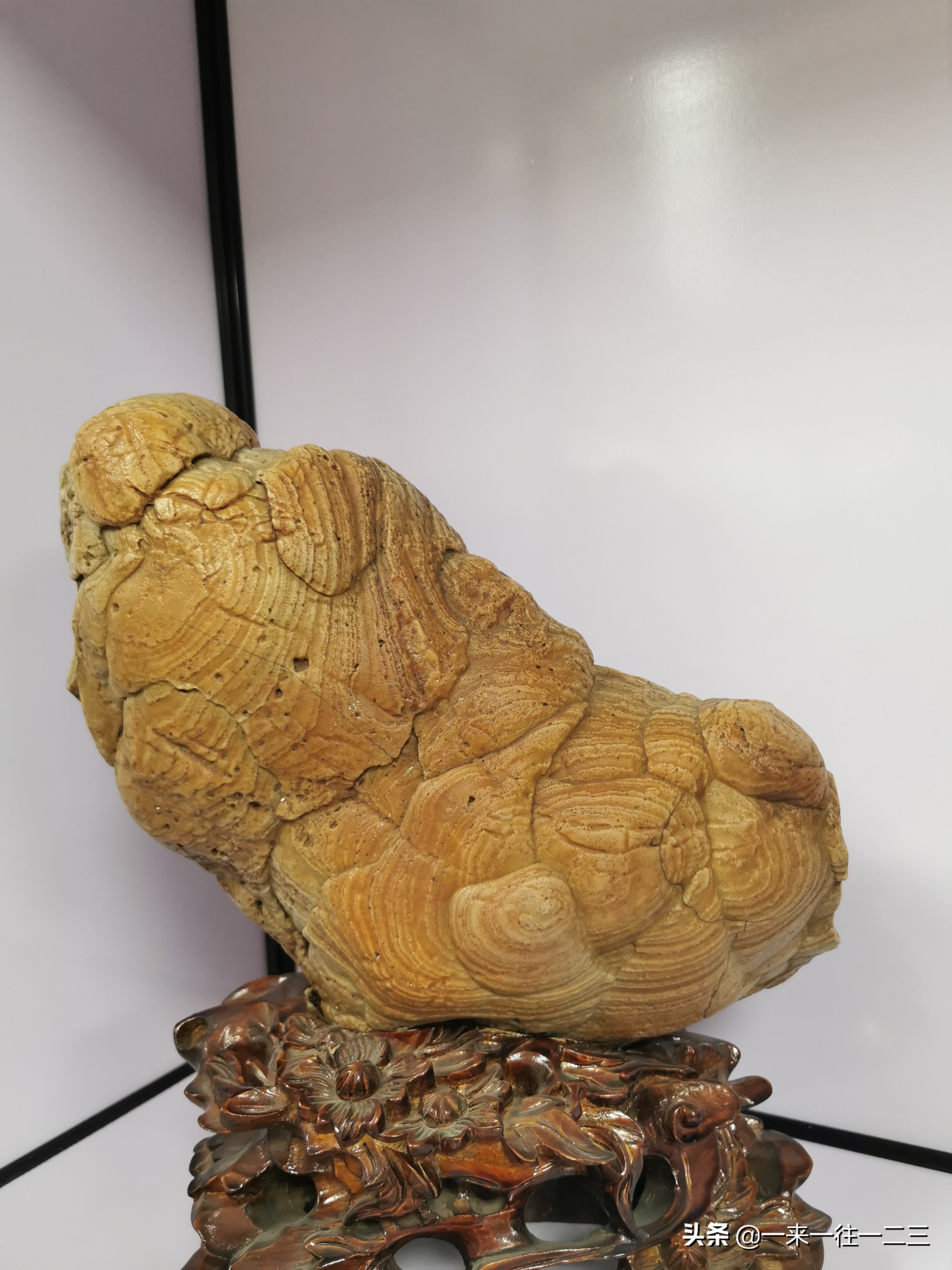 阿拉善天然戈壁奇石,阿拉善戈壁沙漠奇石