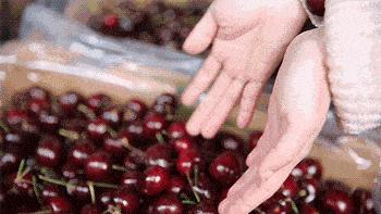 六月季节的水果,六月当季水果蔬菜