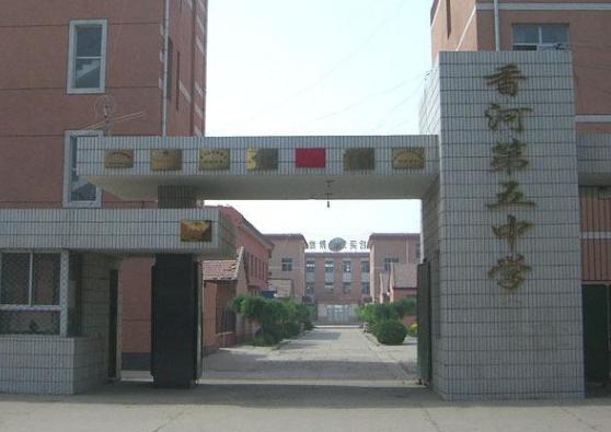 河北发展最好的乡镇,河北最强乡镇