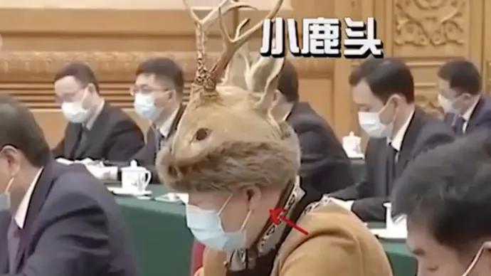 国家二级保护动物名录獐子,国家二级保护动物獐狸