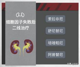 早期肾透明细胞癌免疫治疗方案,2022晚期肾细胞透明癌治愈率