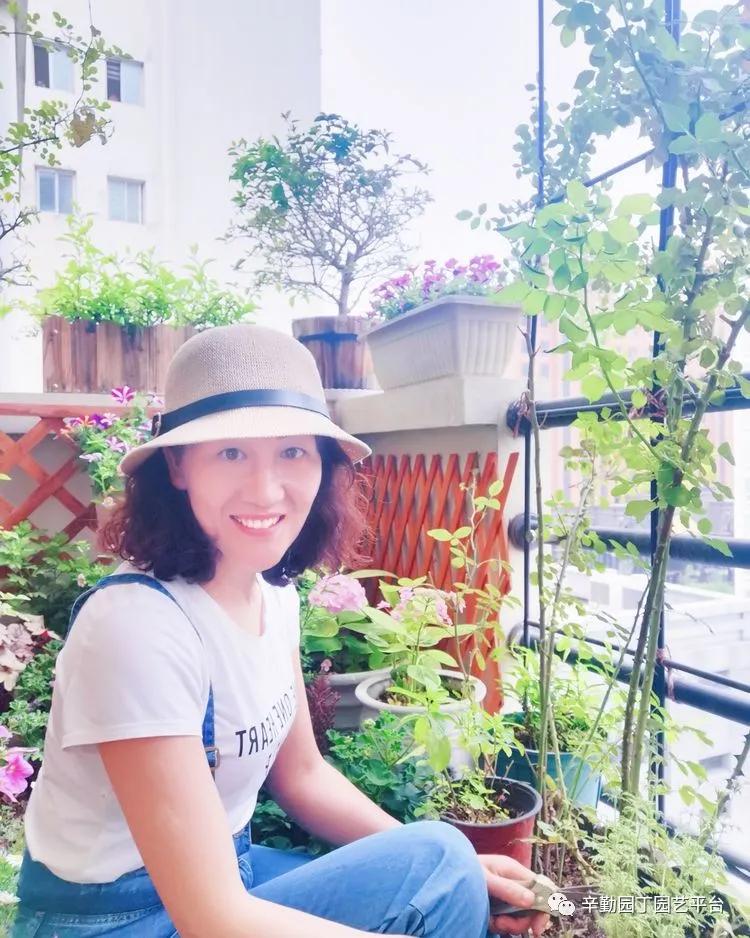 （2021）园丁奖阳台组《008号》星星的花园