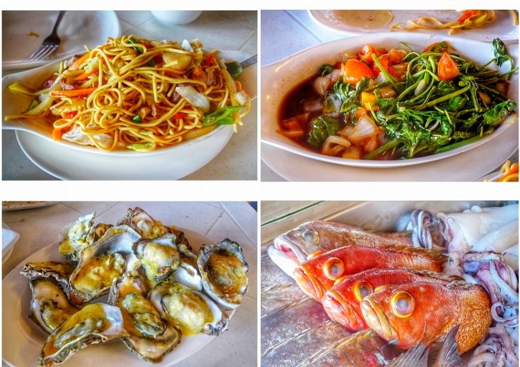 couldn'tconnecttohost