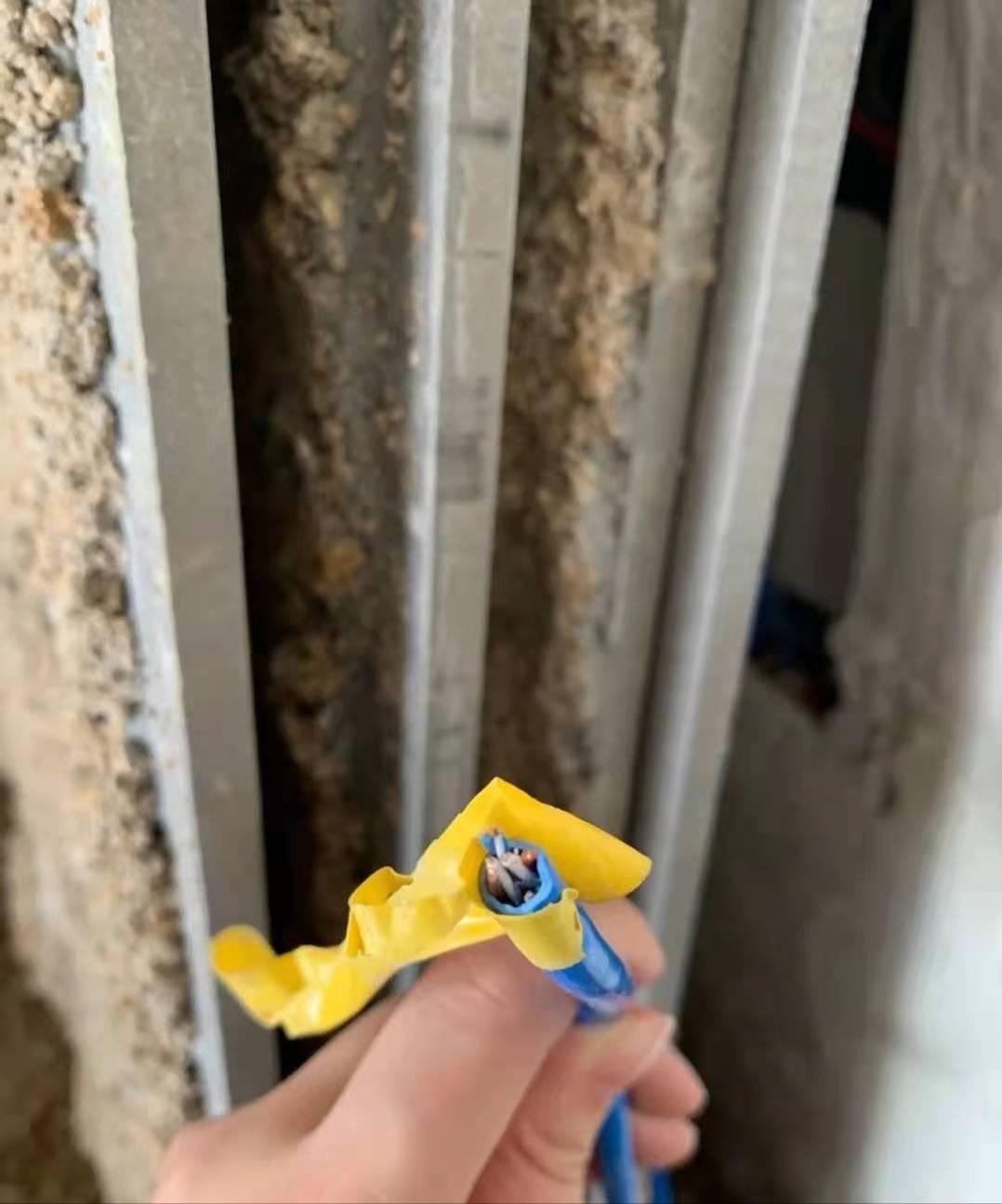 家庭wifi覆盖网线布局,家庭wifi怎么装最好