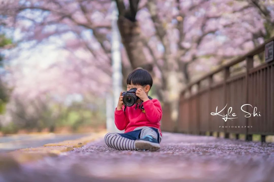 樱花季去京都怎么避免人太多,樱花季去日本旅行