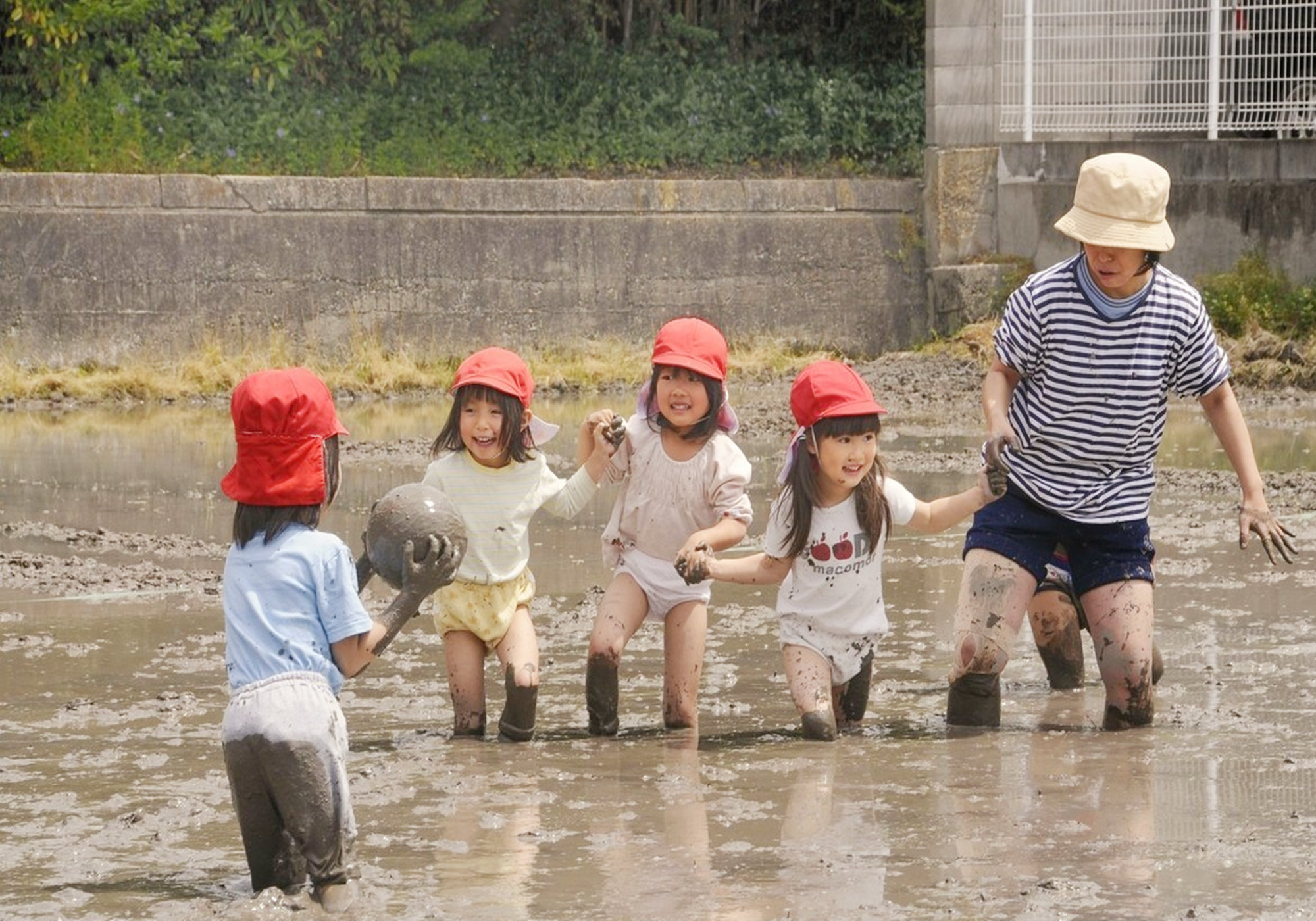 新幼儿园开哪些特色课程,幼儿园传统教学模式弊端
