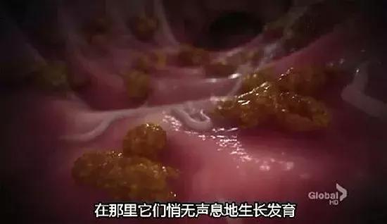 一周减肥瘦10斤,减肥最快的方法5天瘦十斤网红