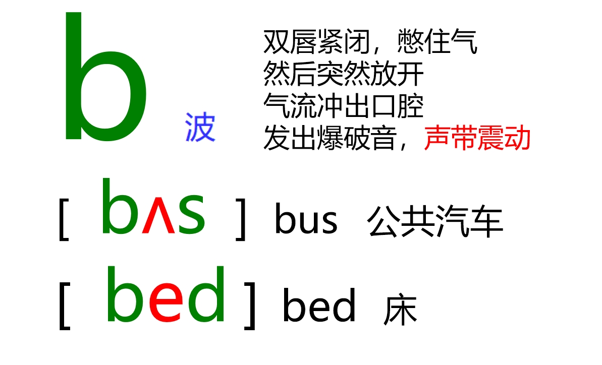 48个音标全套卡片作用,英语音标卡片48个正确发音嘴型