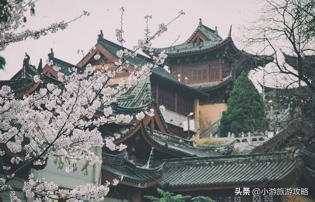 国内赏樱胜地大全,全国赏樱地图出炉共赴浪漫樱花约