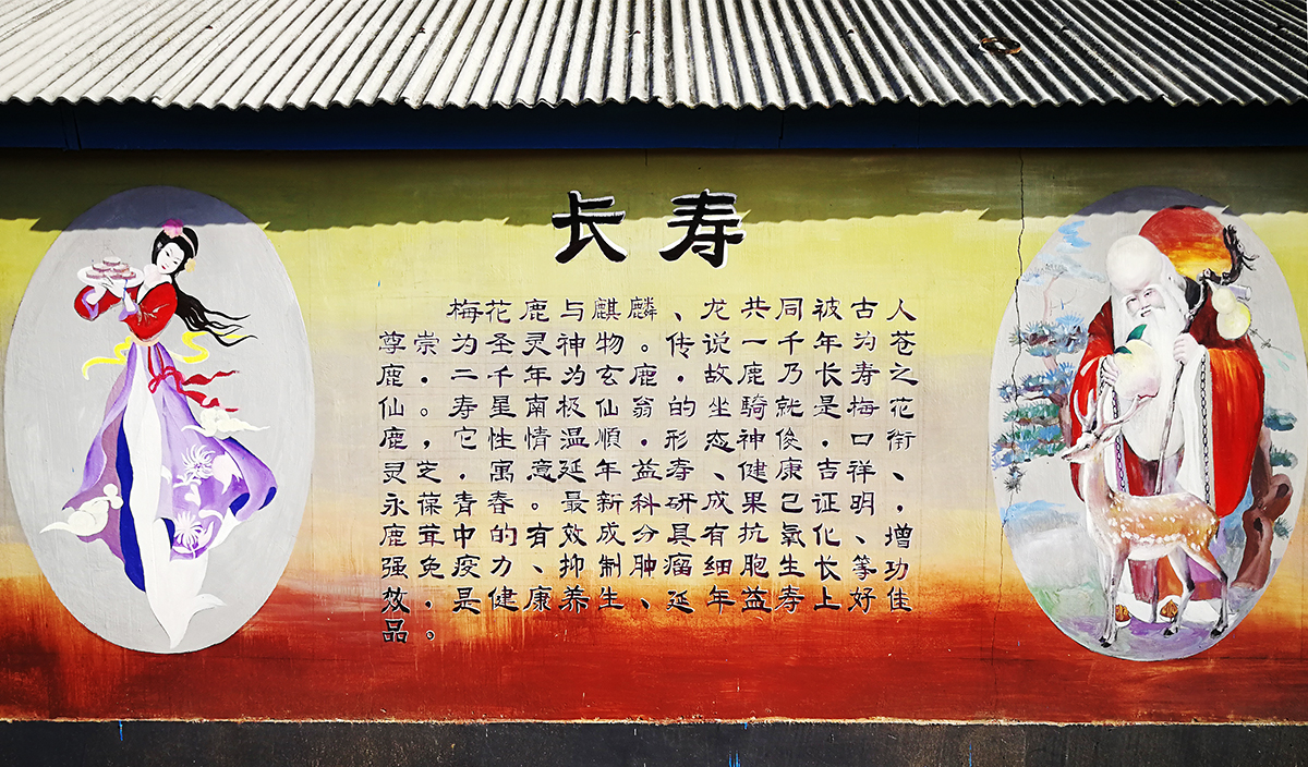 吉春制药健肝灵胶囊,吉春制药阿胶补血口服液