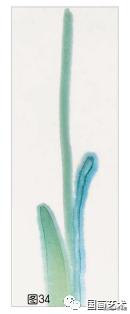 芭蕉叶画法教程,国画芭蕉画法视频