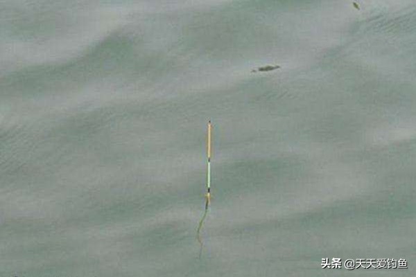 一钩触底一钩悬浮怎么调漂图解,朝天钩立漂调漂的正确方法图解